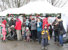 Sanacorp Christbaumschlagen