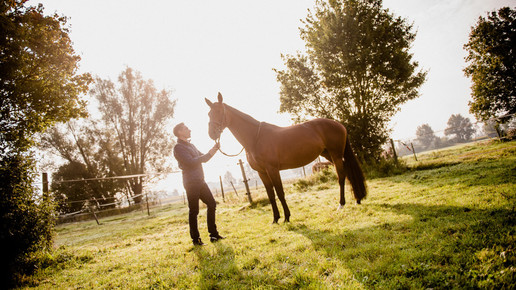 pferdeapotheke bellenberg