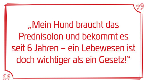 rx-ausreden29 hund prednisolon