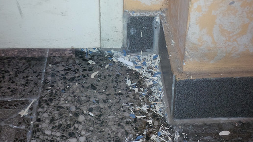 einbruch5 alte apo gohlis