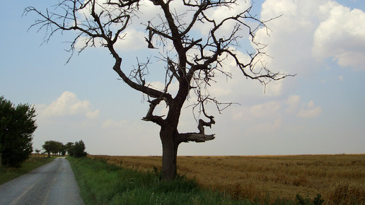 einoede einsamkeit feld aa