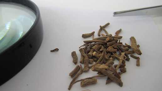 Valerianae radix 1 aa