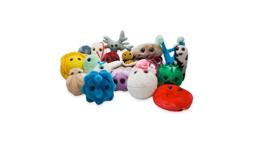 riesenmikroben giantmicrobes