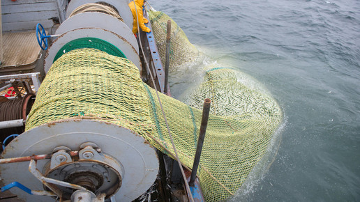 fischfang lena ganssmann