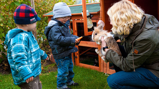 infectopharm kita 02 infectopharm