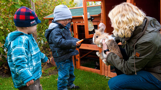 infectopharm kita 02 infectopharm