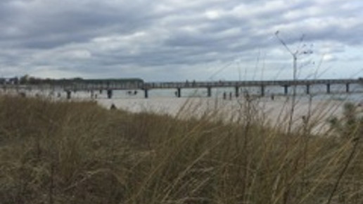 Boltenhagen6 Herrmann