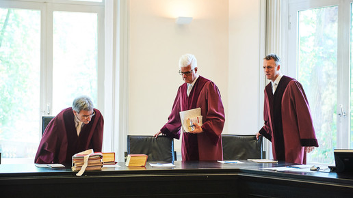 091 BGH 130717 Apotheke Adhoc Arno Kohlem