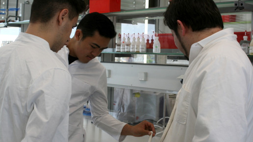 boysday6 berndblindowmannheim