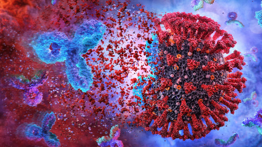 Wirksamkeit vor eigener Antikörper-Bildung am besten