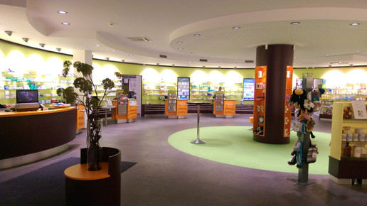 Umzug 1 Hahnerberg-apo