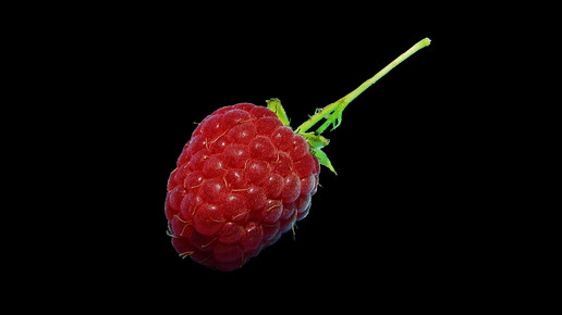 himbeere theo crazzolara wikipedia CC-BY-SA 4.0