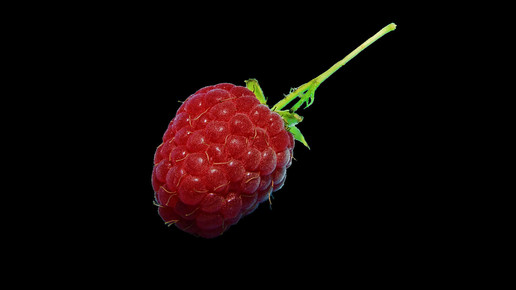 himbeere theo crazzolara wikipedia CC-BY-SA 4.0