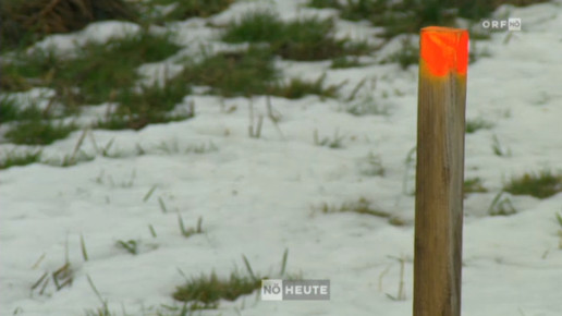 ruprechtshofen pfosten screenshot orf