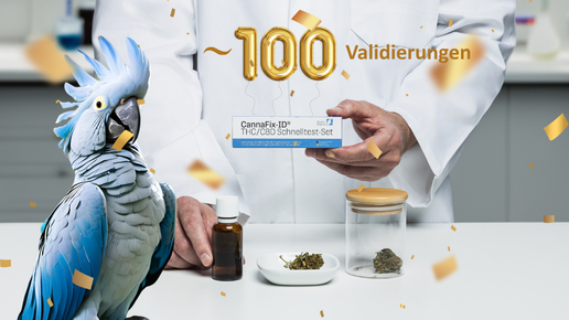 Ein Bild, das medizinisches Cannabis als Blüte und Extrakt zeigt, einen stolzen blauen Kakadu, einen CannaFix-ID-Schnelltest und goldenes Konfetti mit der Zahl 100 als Luftballons.