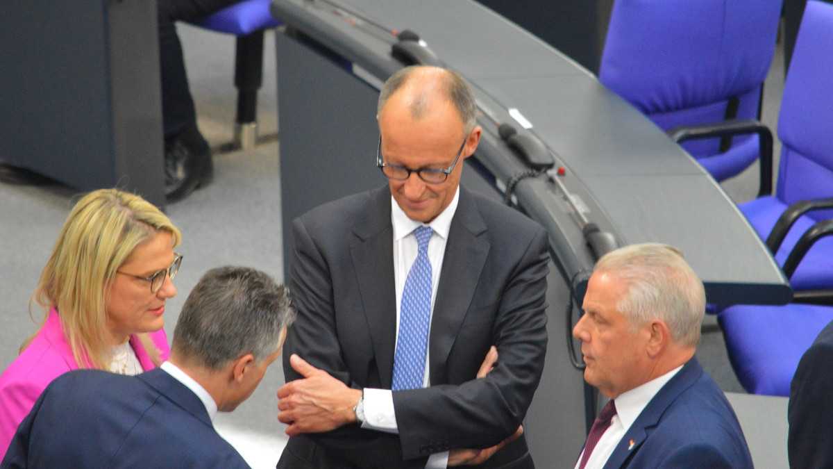 Merz-Pflege-Vorschl-ge-reichen-nicht