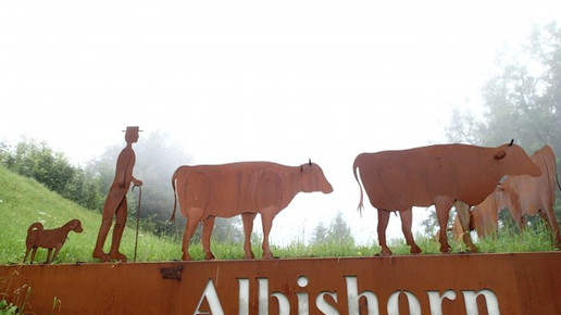 bergrestaurant-albishorn5 website-albishorn