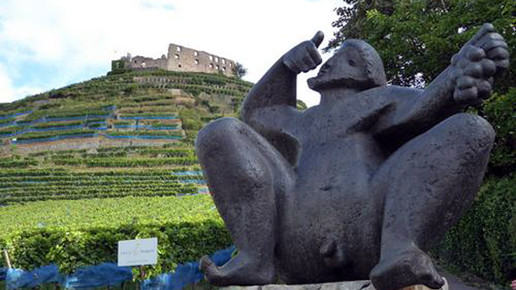 rokitta busreisen freiburg rokitta