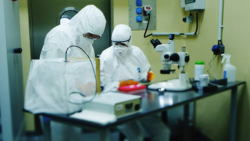 Mueckenlabor Insel Riems FLI ARTE