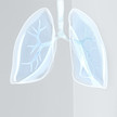 Webinar „Inhalationstherapie bei Asthma, Bronchitis & COPD“ Webinar „Inhalationstherapie bei Asthma, Bronchitis & COPD“