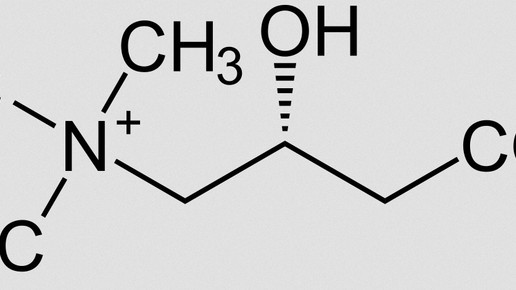 carnitin strukturformel wikipedia