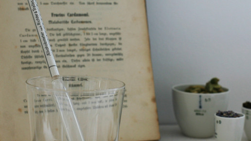 jagla apothekerschnaps Deutsches Arzneibuch2 jagla