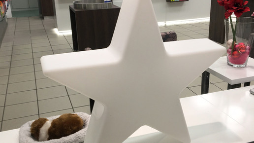 weihnachtsdeko eichendorff-apotheke kassel6