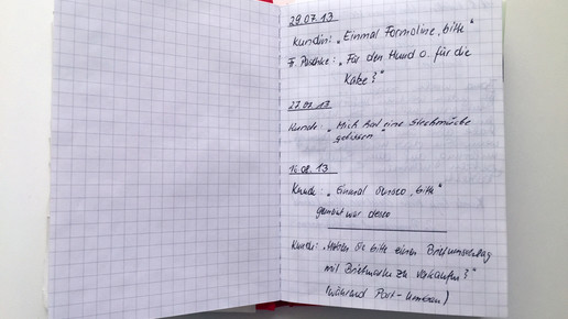 brigadebuch 01 lindaapoidnordvorstadt