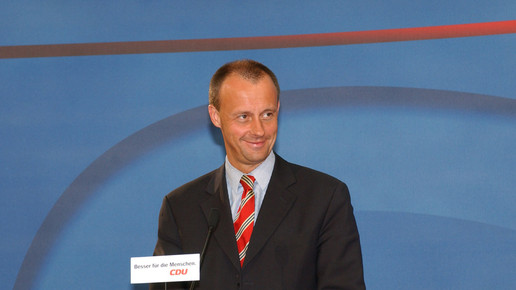 merz friedrich 20031103 eh