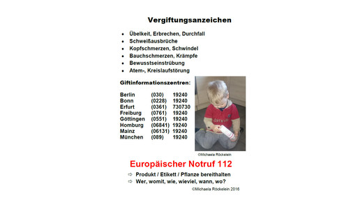 roeckelein merkkarte vorn roeckelein