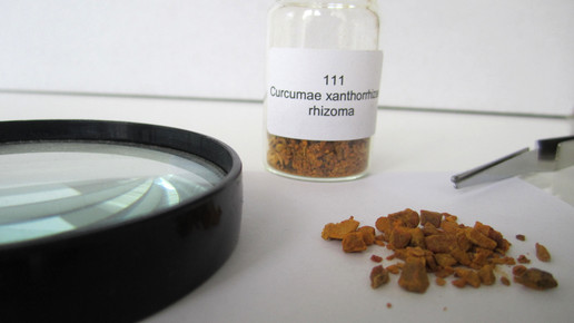 Curcumae xhantorrhiza rhizoma 2 aa