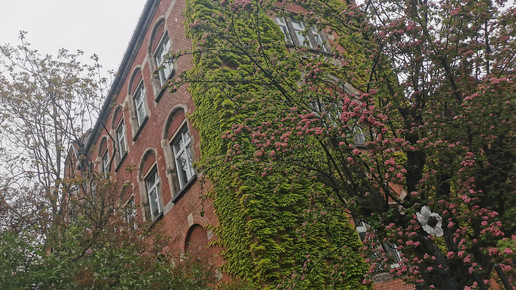 RKI: Infektionsdruck in allen Altersgruppen hoch