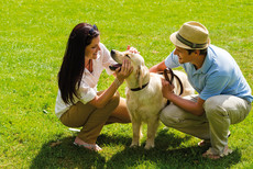 LINDA Tieraktion Paar mit Hund