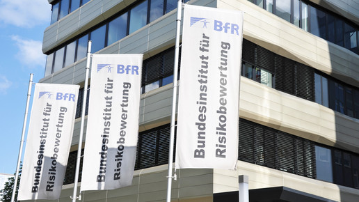 BfR-Gebäude mit Fahnen