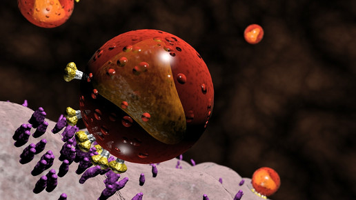 hivzellen universitatsklinikumheidelberg