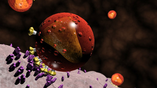 hivzellen universitatsklinikumheidelberg