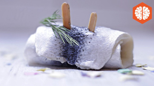 Kundenflyer: Katertipps