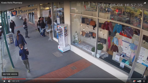 Koala in Apotheke 4 Screenshot