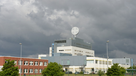 bayer bitterfeld aussen eh