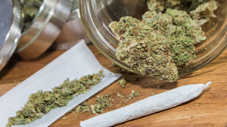 Cannabis-Legalisierung: „Vollkommener Rohrkrepierer“