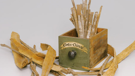 chinarinde deutsches-apotheken-museum