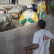 Ebola: Medikamente und Impfstoffe im Test