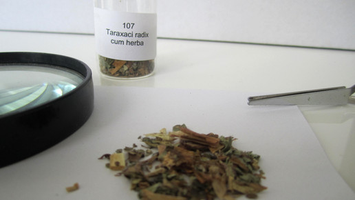 Taraxaci radix cum herba 2 aa