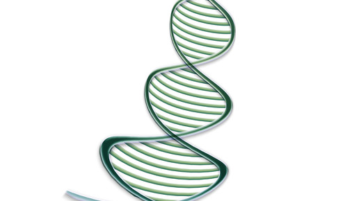 dna Gerd Altmann pixelio 01