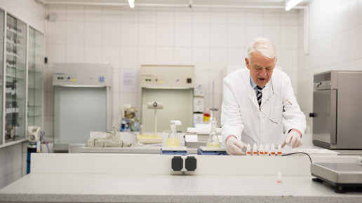 steffens7 kronen-apo kiel sebastian weimar