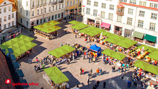 Der immergrüne Marktplatz