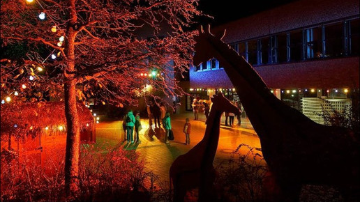 Zoo Osnabrueck Eingang Zoo