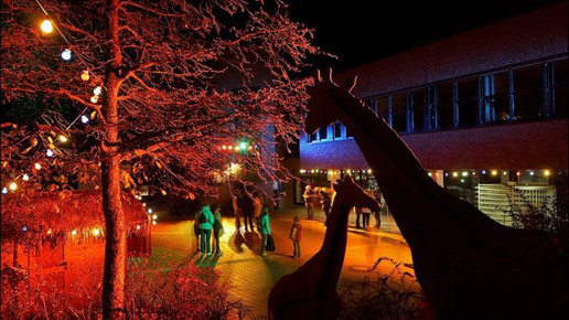 Zoo Osnabrueck Eingang Zoo