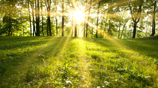 Sars-CoV-2: Welchen Einfluss hat das Wetter?