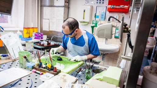 labor charite2 andreas domma